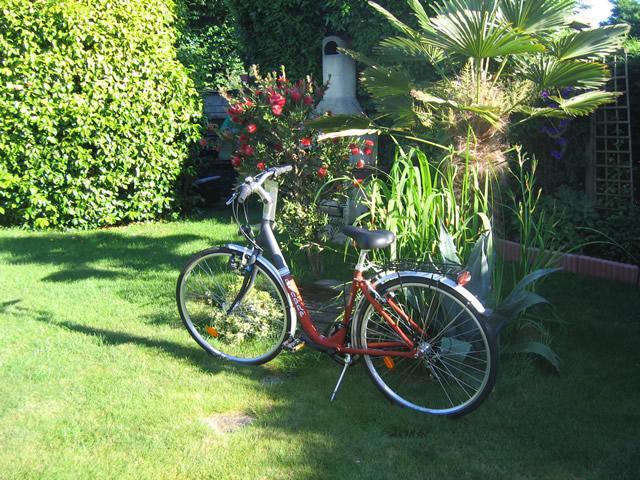 Vente de vélos Quimper